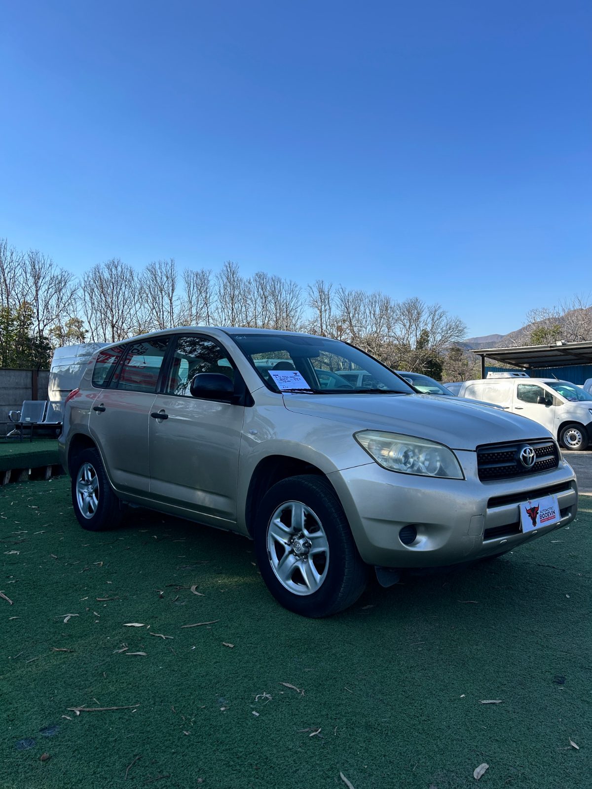 TOYOTA RAV4 2007 3